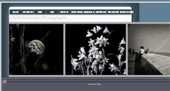 Desktop Screenshot of clickinhistoryphotography.com
